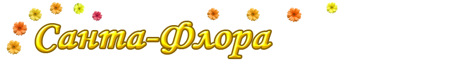 santaflora.ru - Аранжировка Галины Новиковой