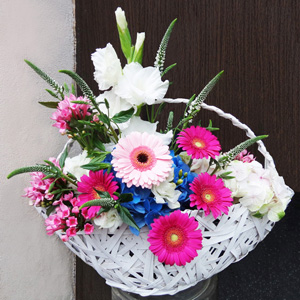 Композиция Коралл плюс