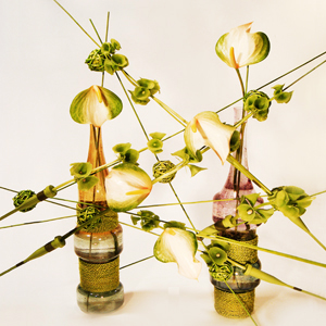 Санта-Флора, Букет Контраст