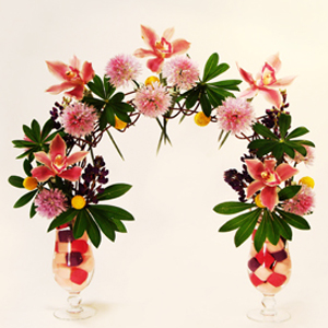 Композиция Коралл плюс