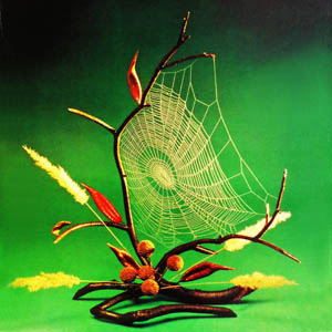 В соавторстве с паучком