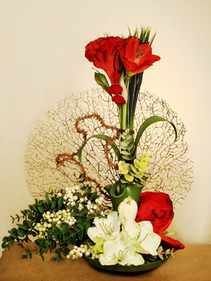 Композиция Коралл плюс